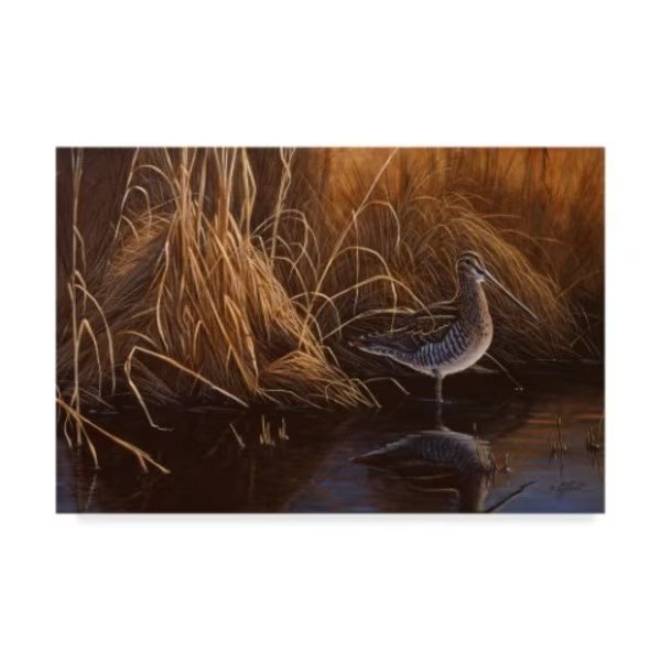 Wilhelm Goebel 'Evening Light Snipe' Canvas Art, 22x32, Trademark Fine Art, Mfr#: ALI33693-C2232GG